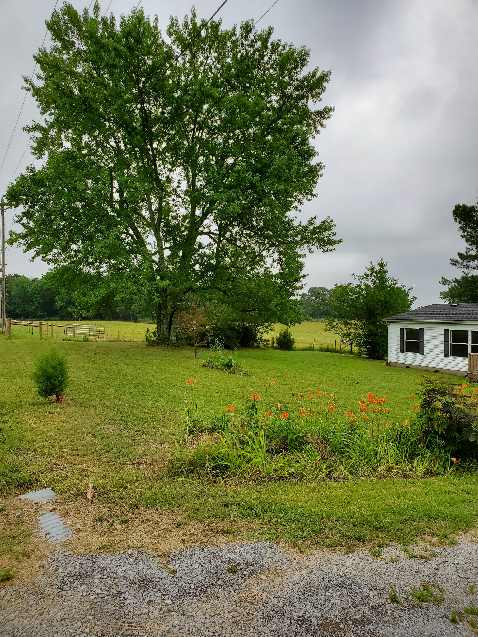 1172 Hayshed Road Dickson, TN 37055 - Photo 3 of 18 Gallery Image 3