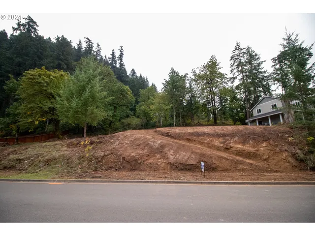 a view of a yard with large trees