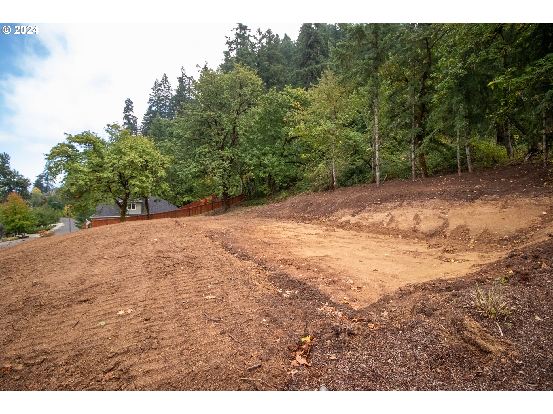 6225 Forest Ridge Drive Springfield, OR 97478 - Photo 11 of 17 a view of a yard with a tree