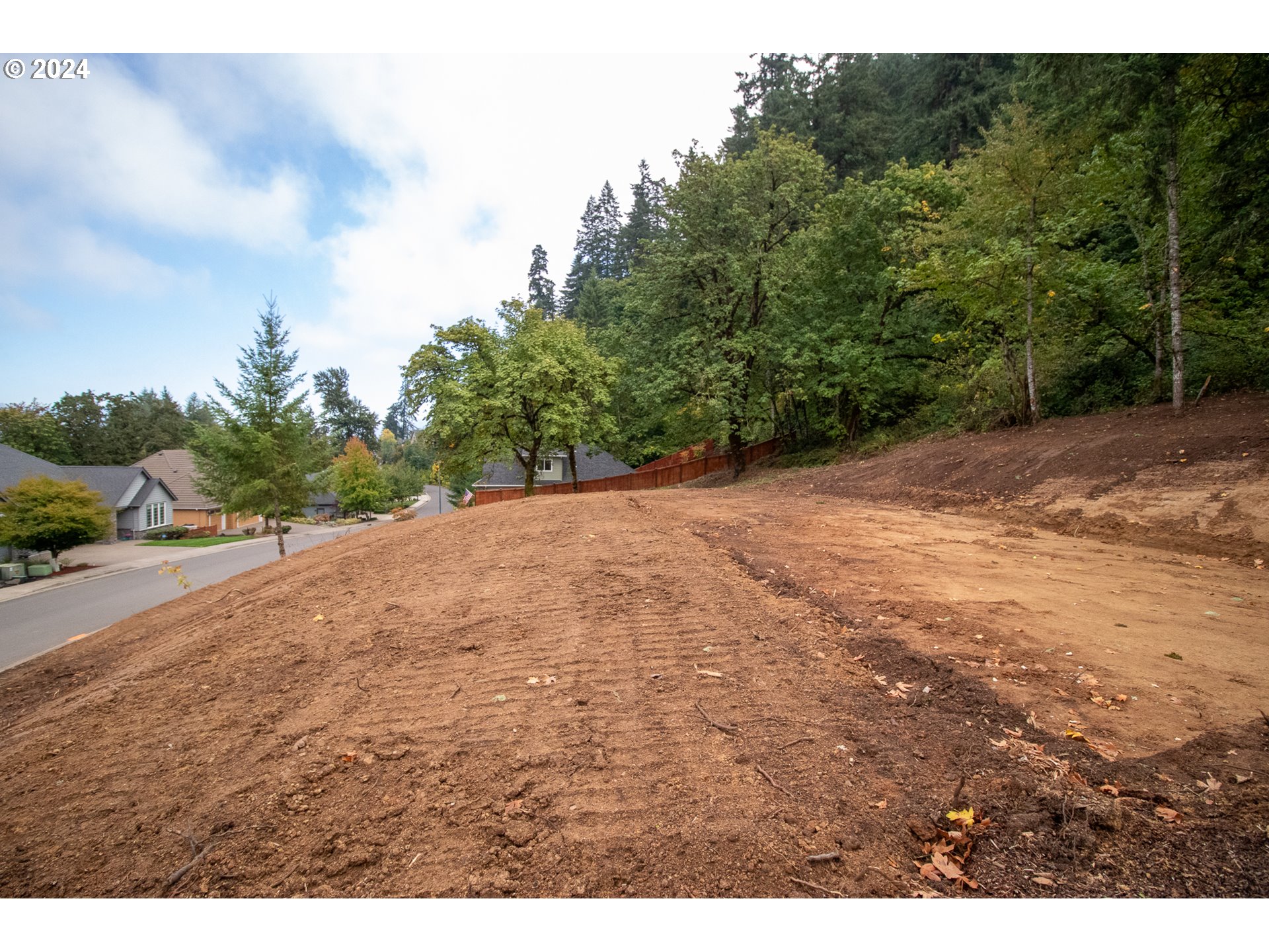 6225 Forest Ridge Drive Springfield, OR 97478 - Photo 12 of 17 a view of a field with trees in the background