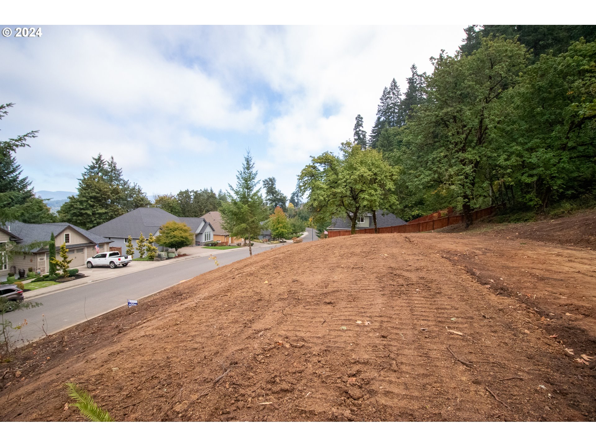 6225 Forest Ridge Drive Springfield, OR 97478 - Photo 13 of 17 a view of a yard with plants and trees