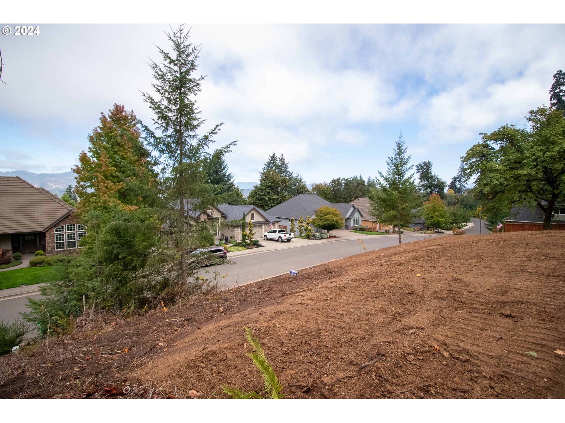 6225 Forest Ridge Drive Springfield, OR 97478 - Photo 15 of 17 a view of a street view