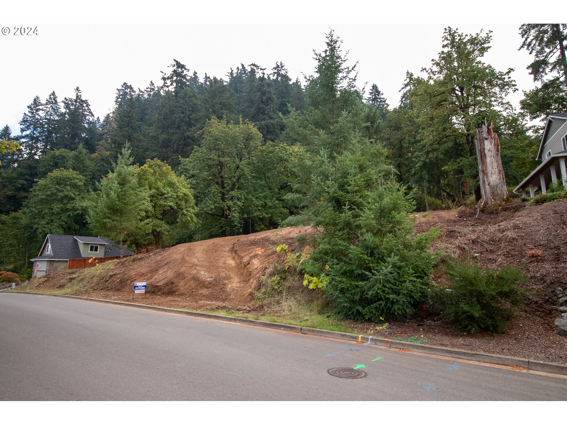 6225 Forest Ridge Drive Springfield, OR 97478 - Photo 2 of 17 a view of a road with a park