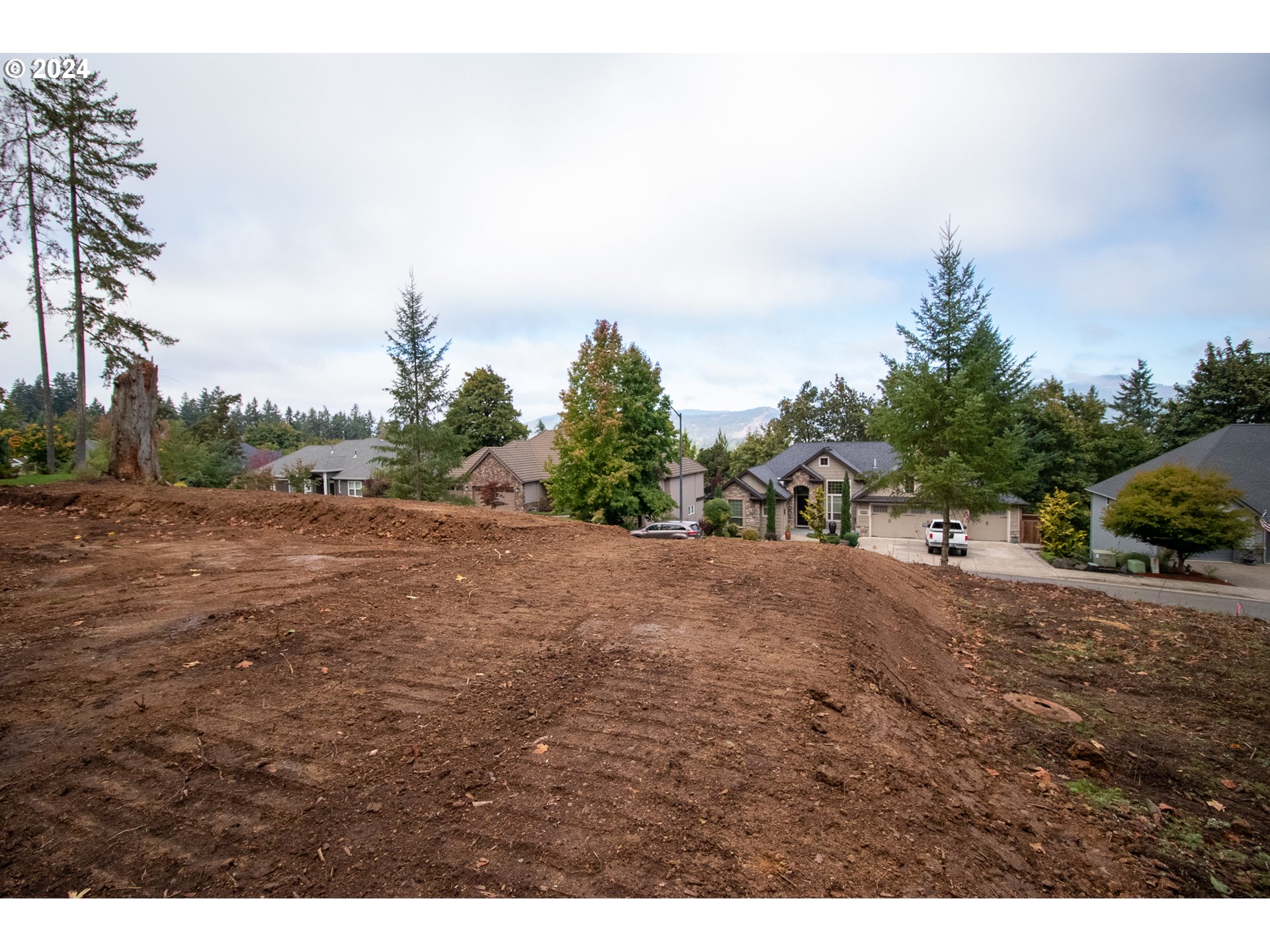6225 Forest Ridge Drive Springfield, OR 97478 - Photo 9 of 17 a view of a dry yard