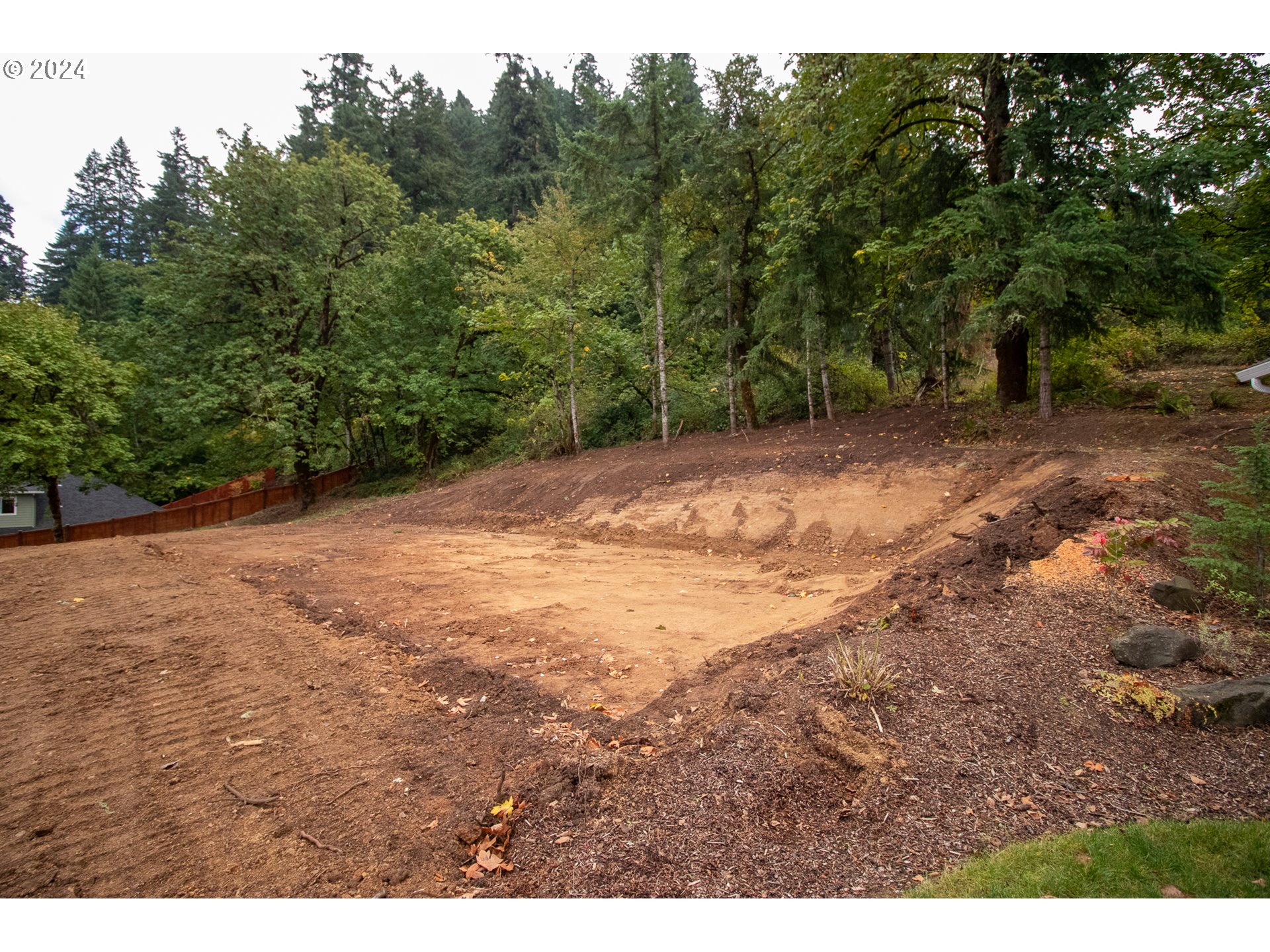 6225 Forest Ridge Drive Springfield, OR 97478 - Photo 10 of 17 a view of a yard with a tree