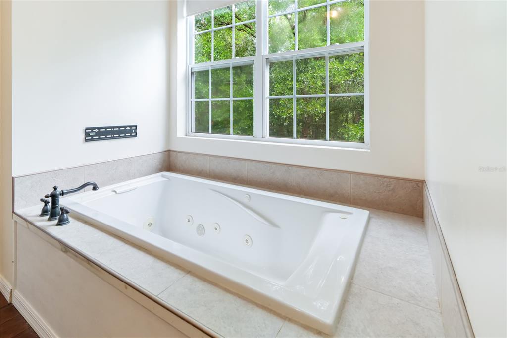 16295 Highway 40 Ocala, FL 34481 - Photo 22 of 39 a bath tub sitting next to a window
