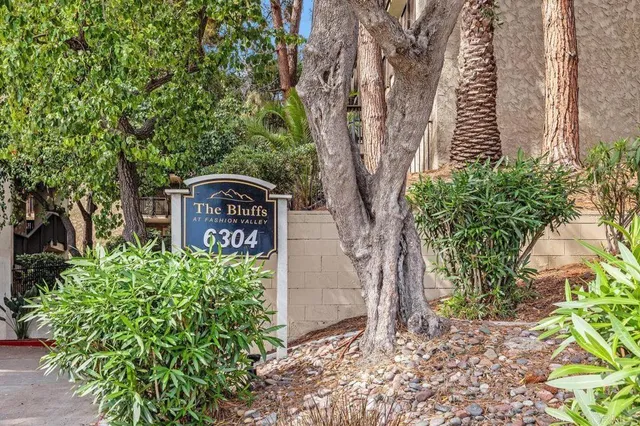 a view of a garden with a tree