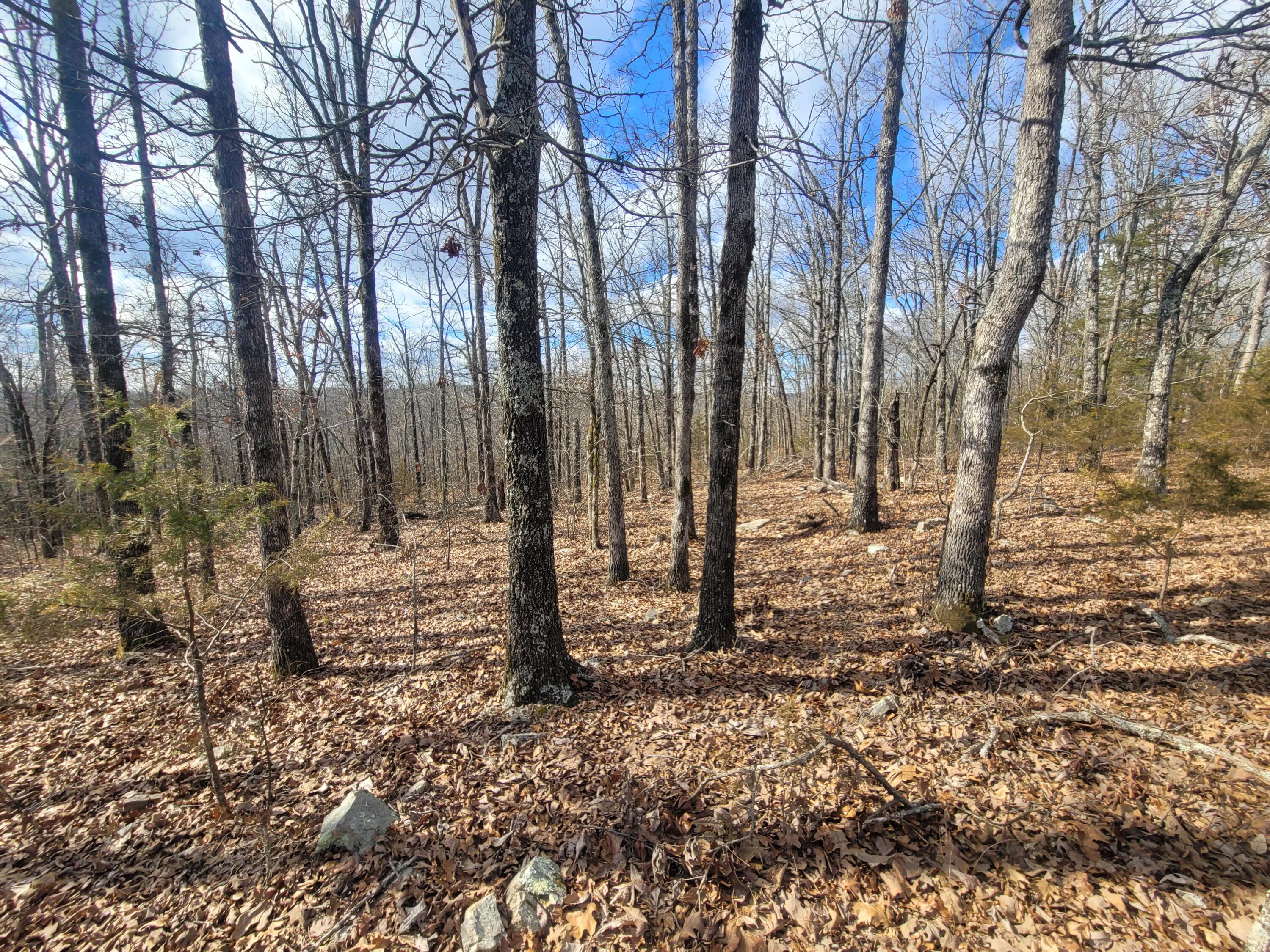 0 Hickory Flats Road Ava, MO 65608 - Photo 24 of 46 20250123_113730