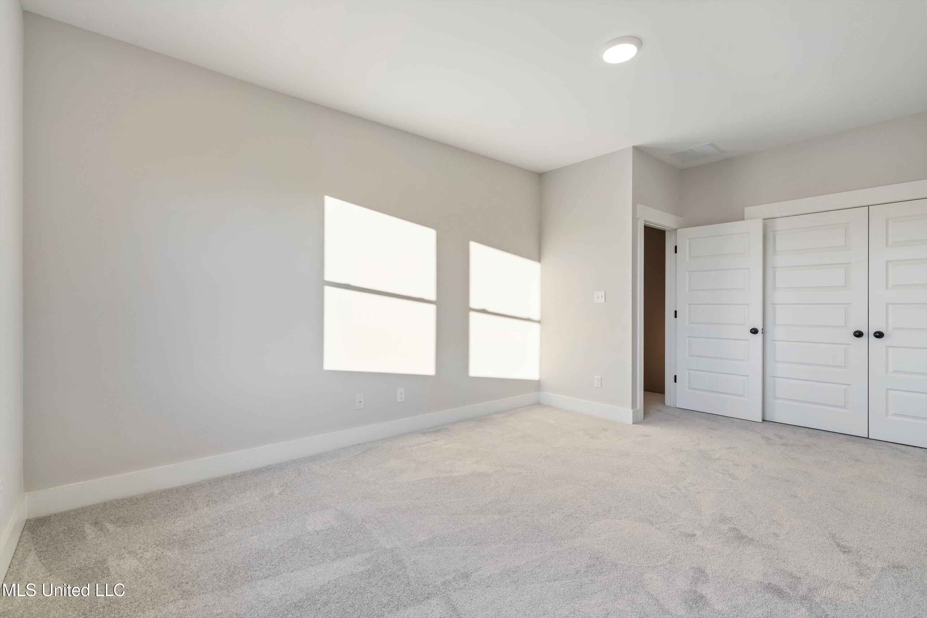 3922 Swan Cove Hernando, MS 38632 - Photo 18 of 30 23-DSC0382