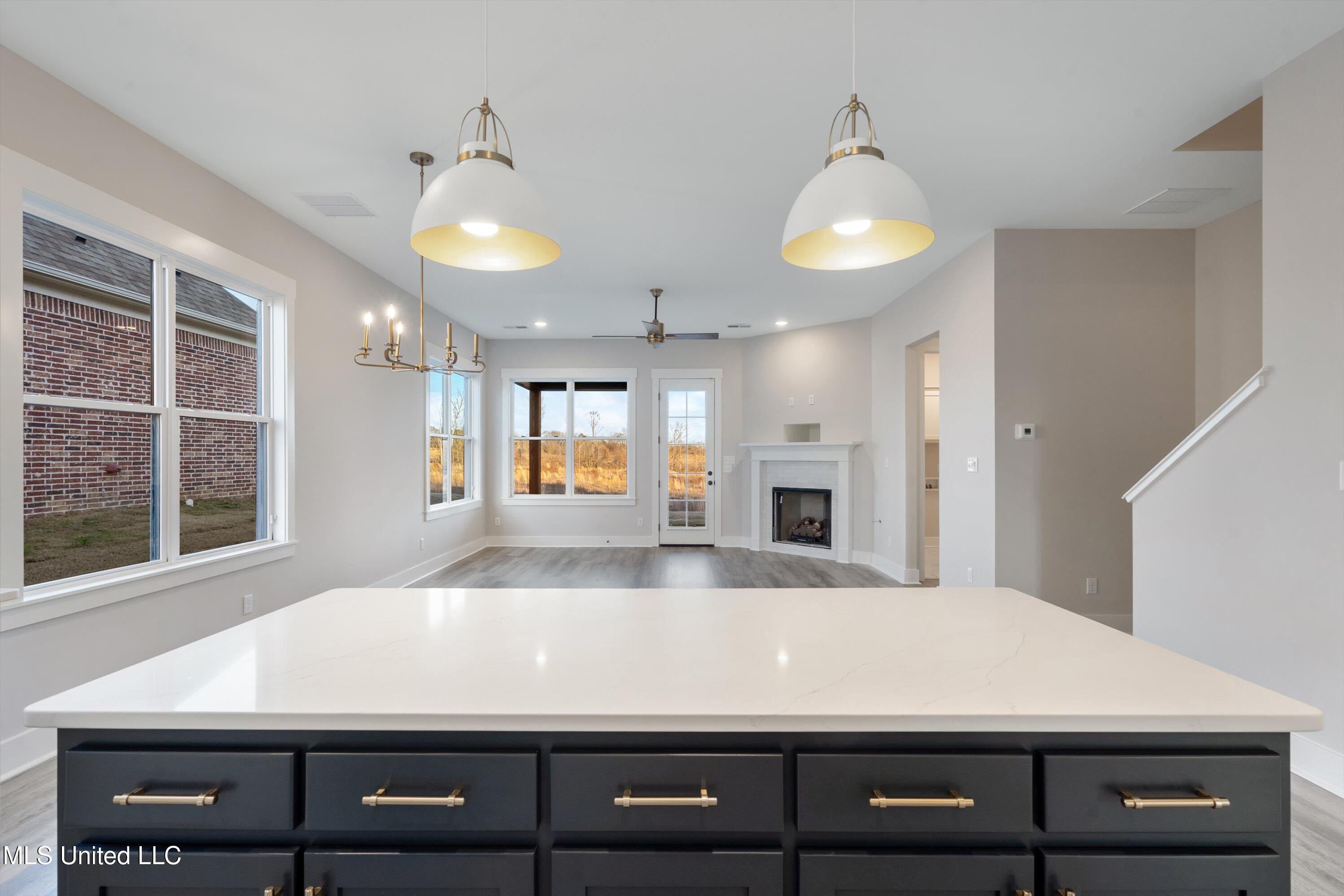 3922 Swan Cove Hernando, MS 38632 - Photo 5 of 30 17-DSC0347