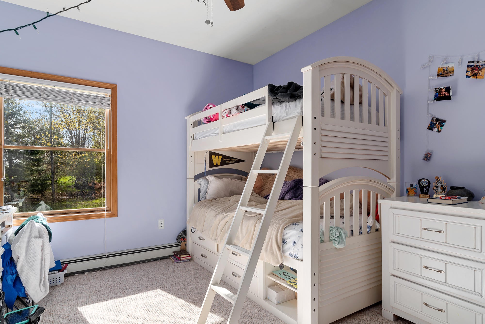 1266 Ellinger Road Alanson, MI 49706 - Photo 15 of 19 Gallery Image 15