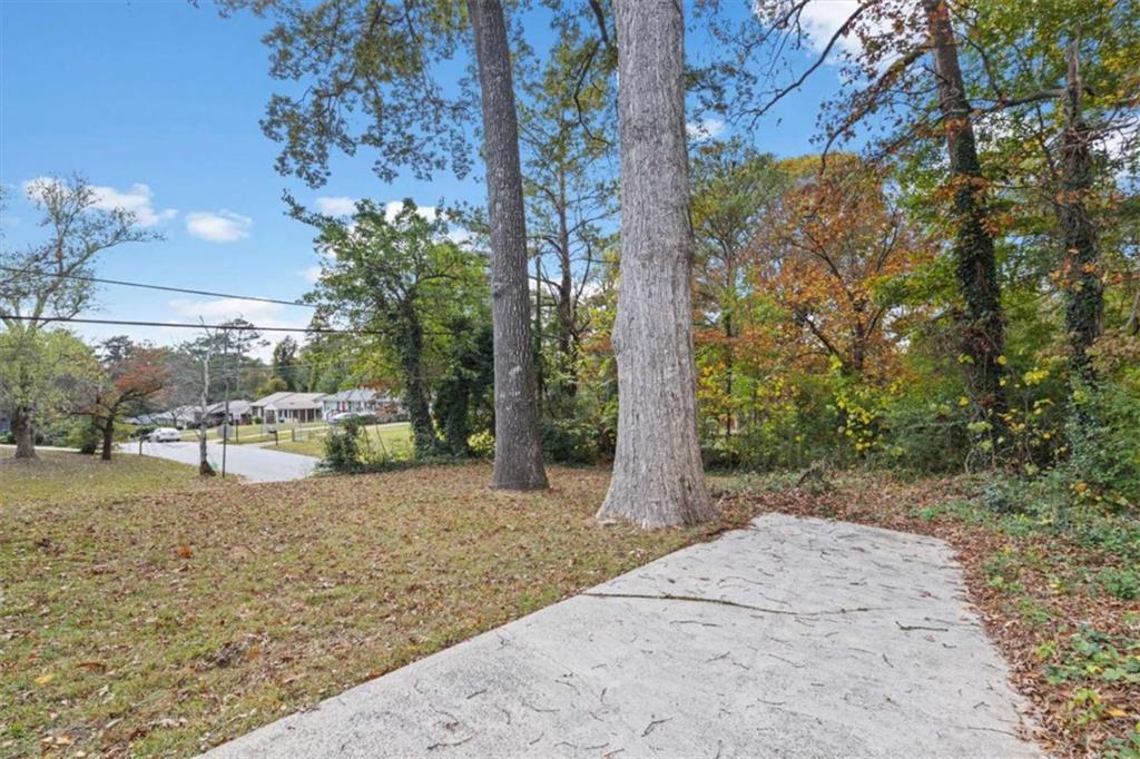 701 Daniel Avenue Decatur, GA 30032 - Photo 32 of 37 a view of a yard with plants and trees