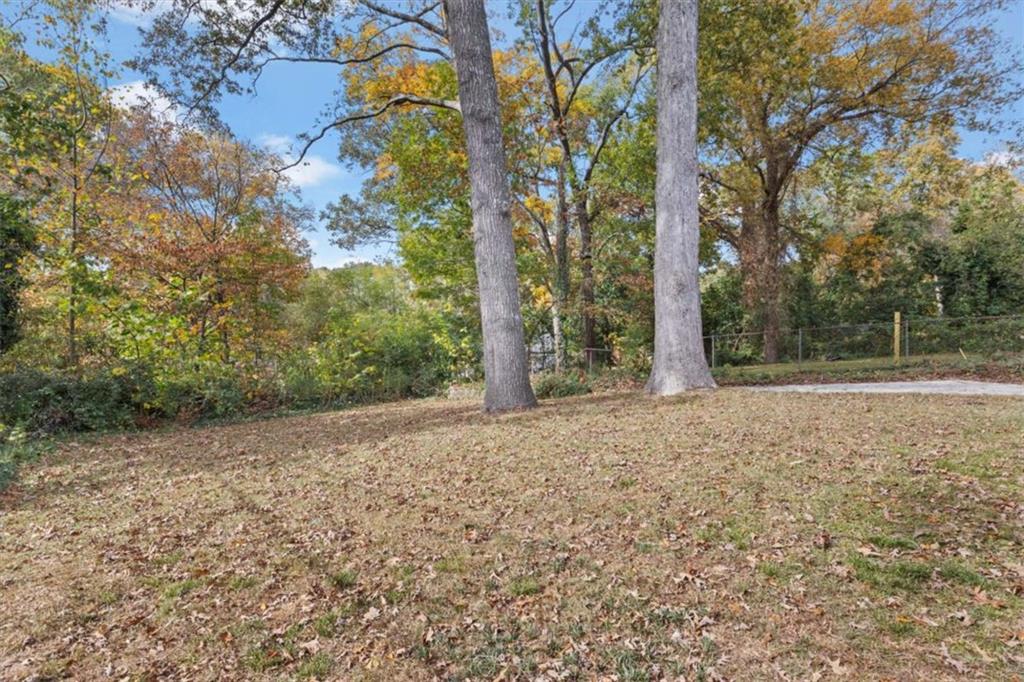 701 Daniel Avenue Decatur, GA 30032 - Photo 33 of 37 a backyard of a house with lots of green space