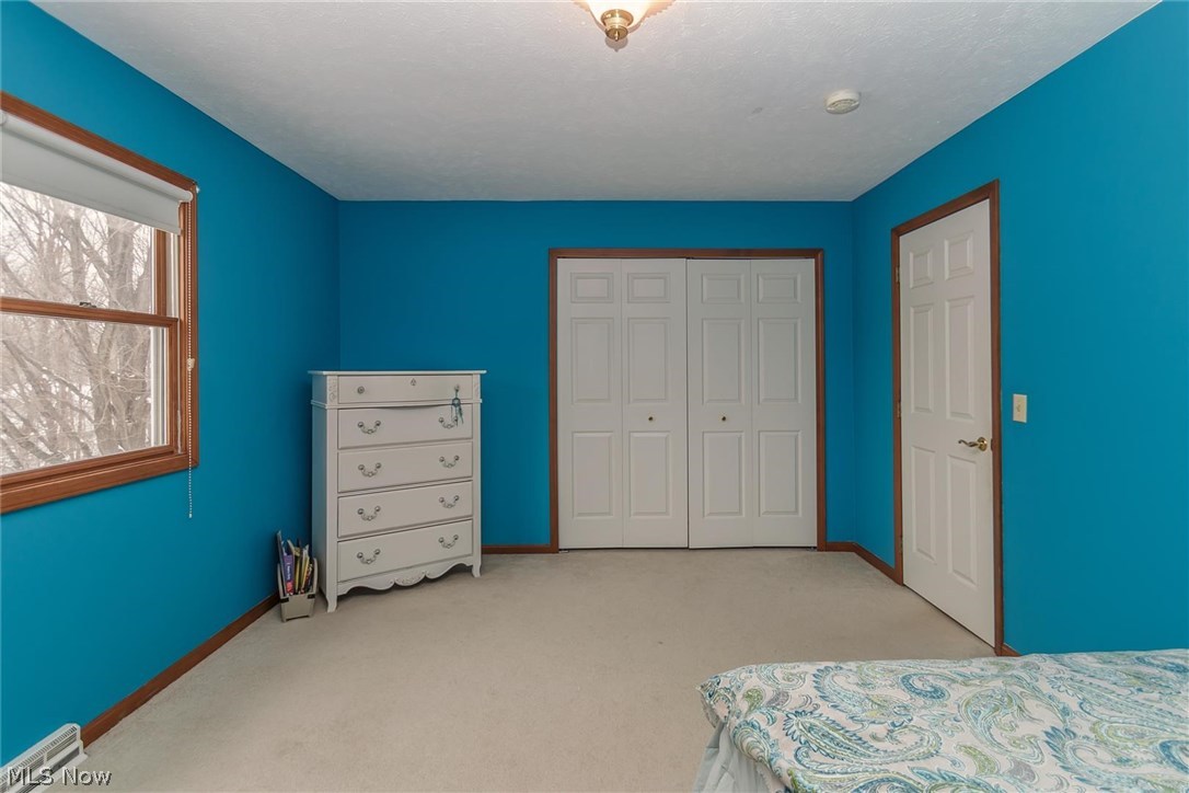 6641 Morley Road Painesville, OH 44077 - Photo 18 of 35 Gallery Image 18