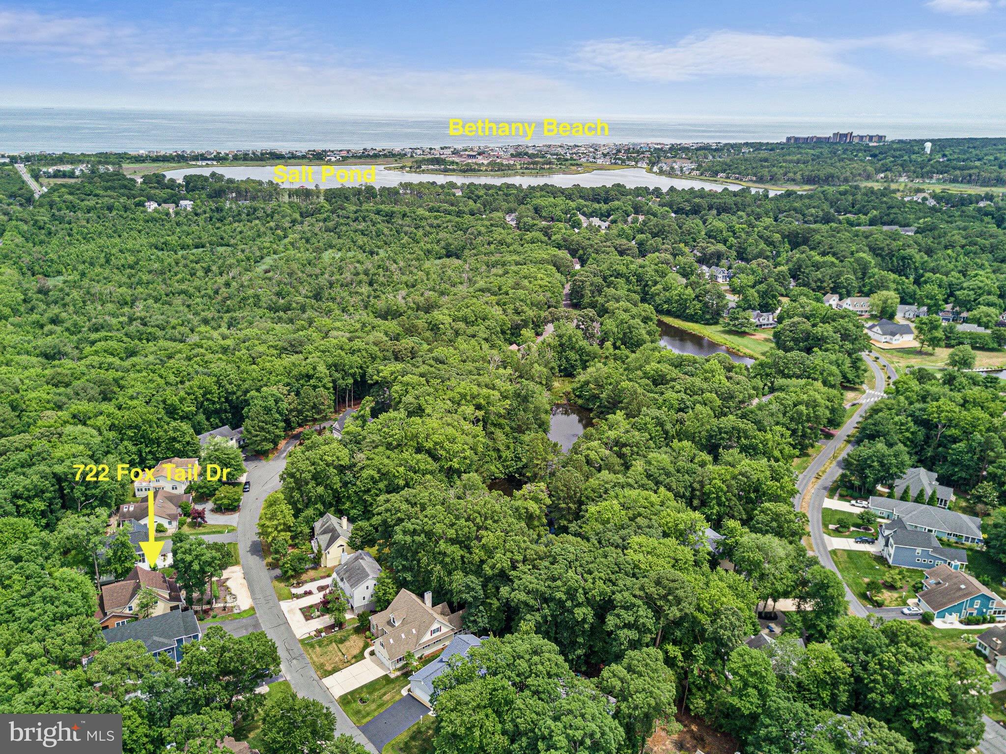 722 Foxtail Drive Bethany Beach, DE 19930 - Photo 47 of 48