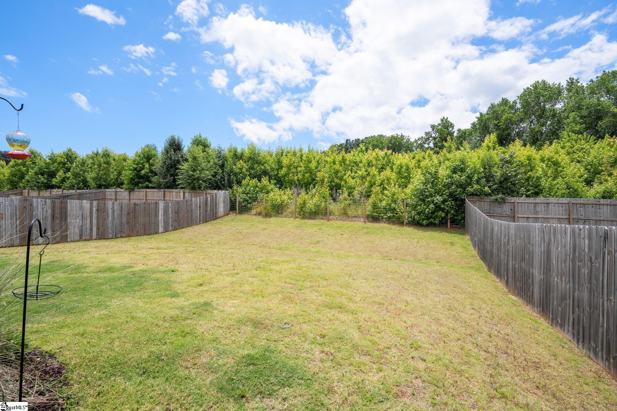 579 Heavenly Days Street Inman, SC 29349 - Photo 25 of 27