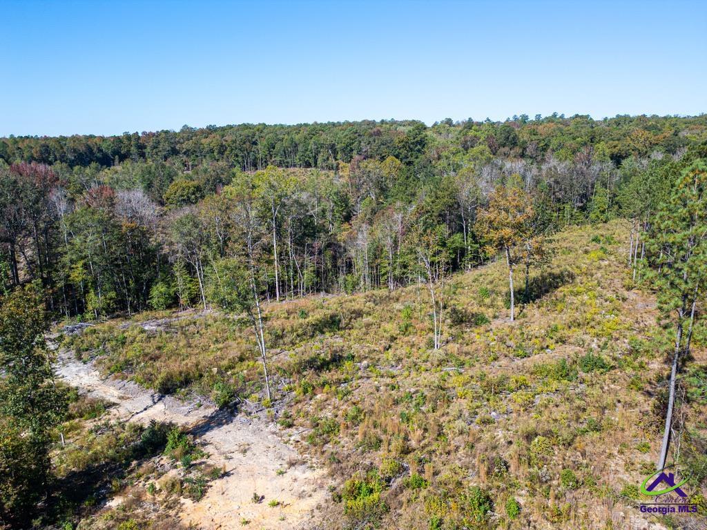 Ohp Dominy Road Toomsboro, GA 31090 - Photo 12 of 24
