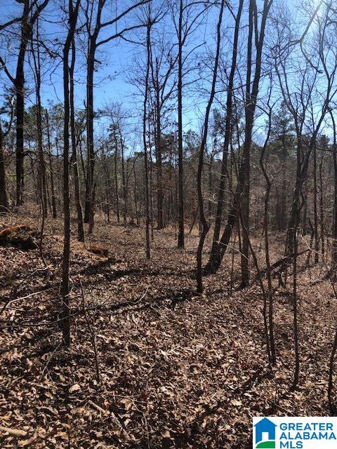 0 Pleasant Valley Road, Unit 1 Jacksonville, AL 36265 - Photo 19 of 24