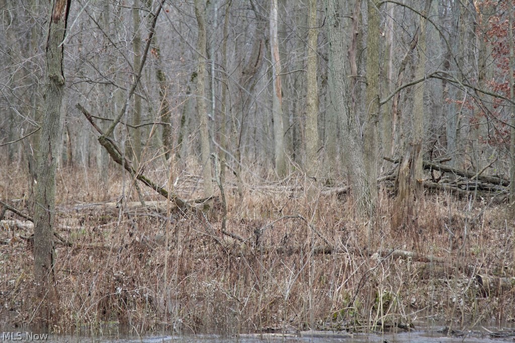 34 State Route Edon, OH 43518 - Photo 14 of 23