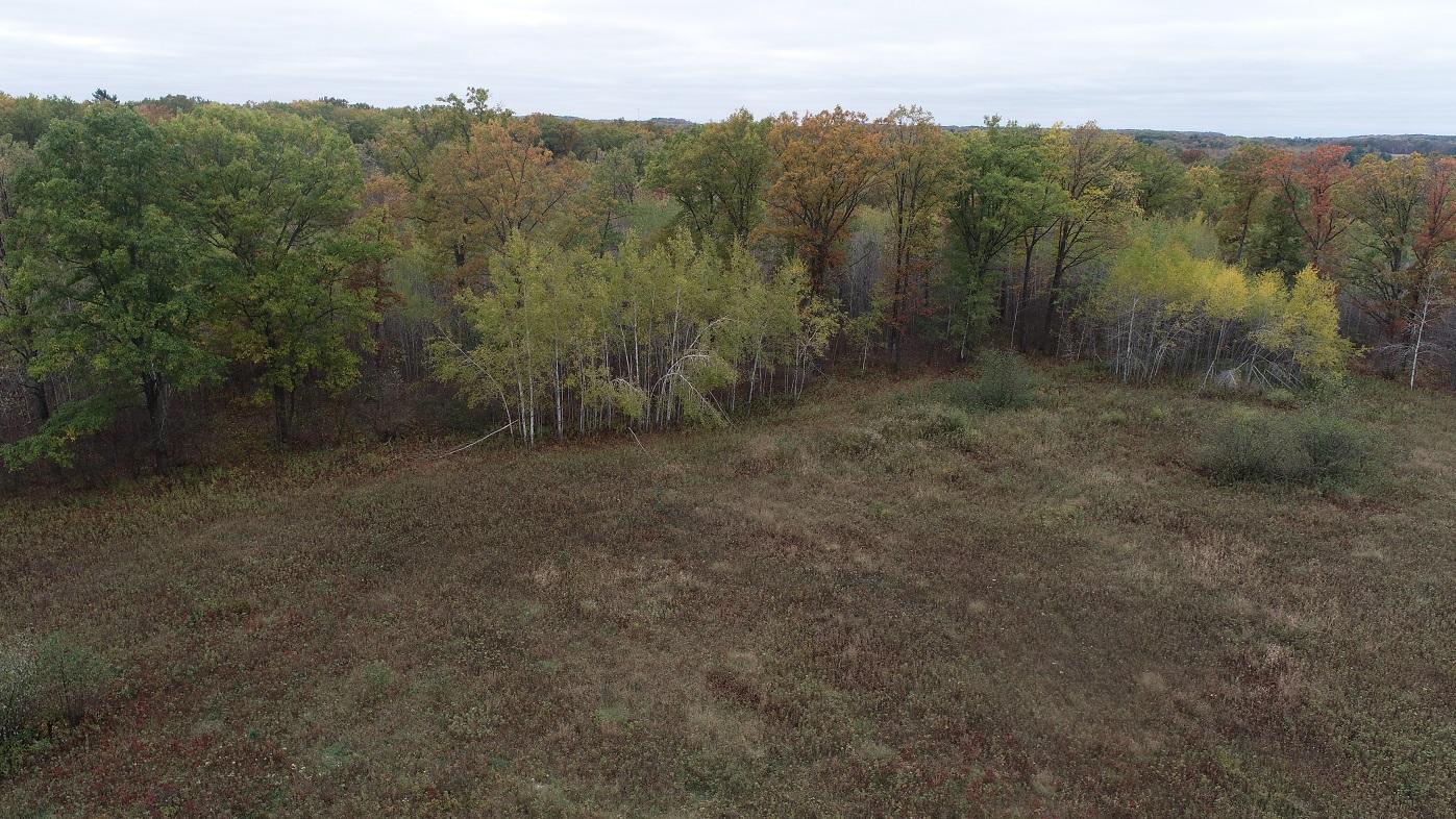0 20th Avenue Cadott, WI 54727 - Photo 10 of 18