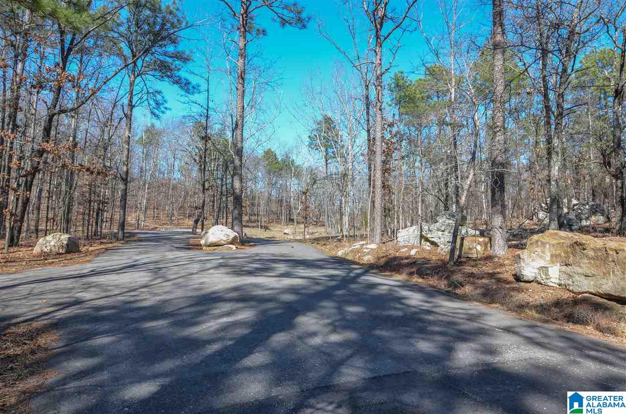 0 Springstone Trail, Unit 6 Leeds, AL 35094 - Photo 3 of 7