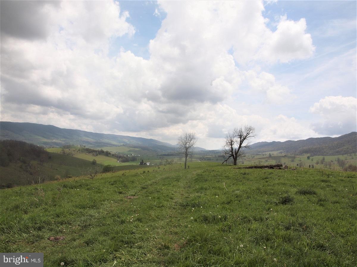 3465 Hardscrabble Road Blue Grass, VA 24413 - Photo 11 of 29