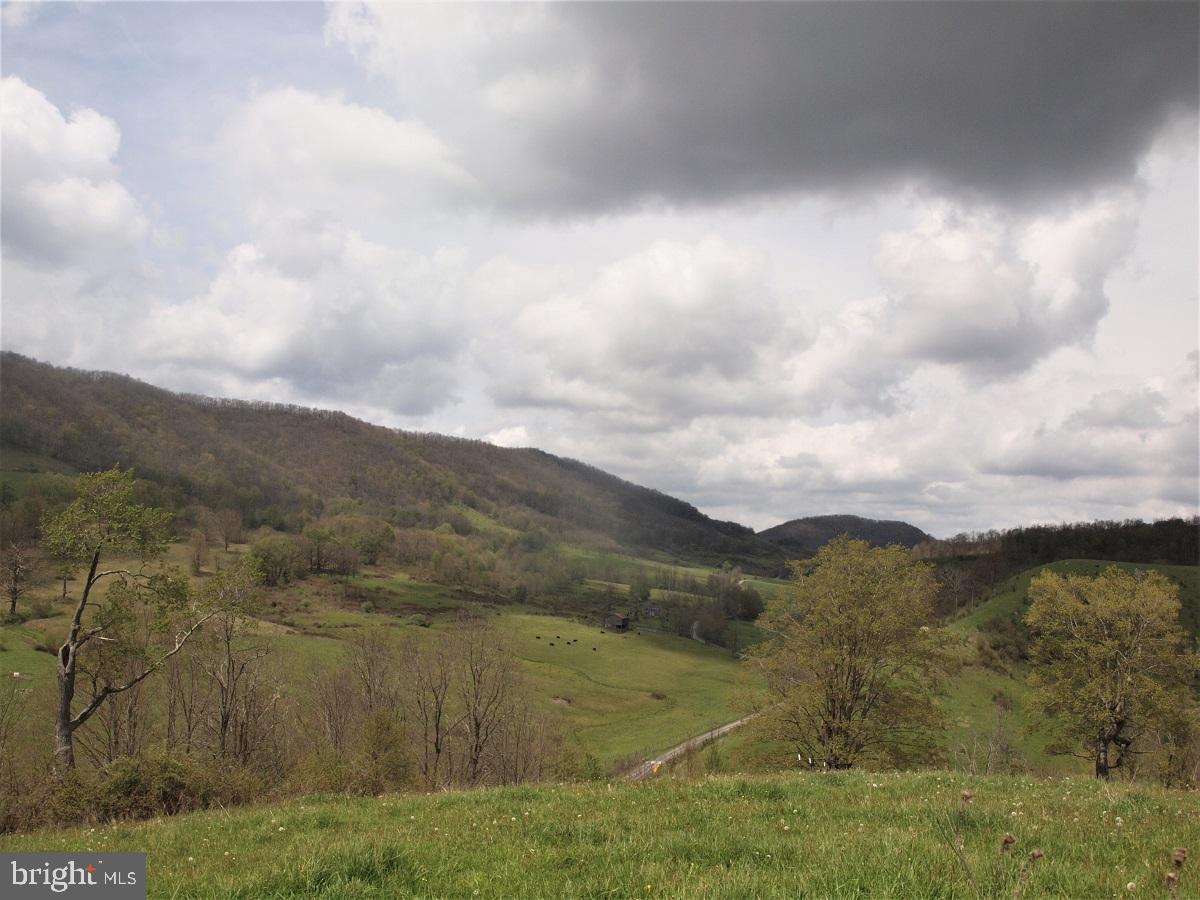 3465 Hardscrabble Road Blue Grass, VA 24413 - Photo 14 of 29