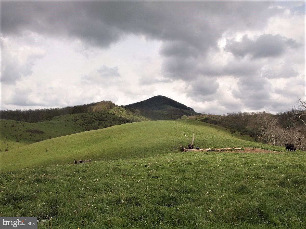 3465 Hardscrabble Road Blue Grass, VA 24413 - Photo 15 of 29