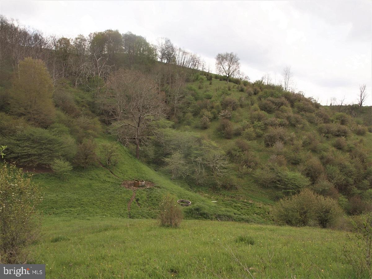 3465 Hardscrabble Road Blue Grass, VA 24413 - Photo 16 of 29