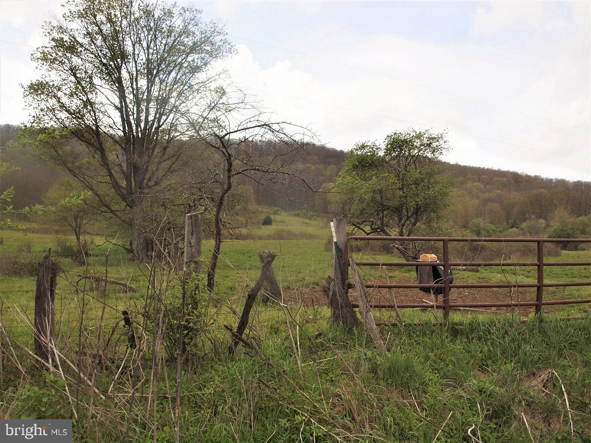 3465 Hardscrabble Road Blue Grass, VA 24413 - Photo 23 of 29