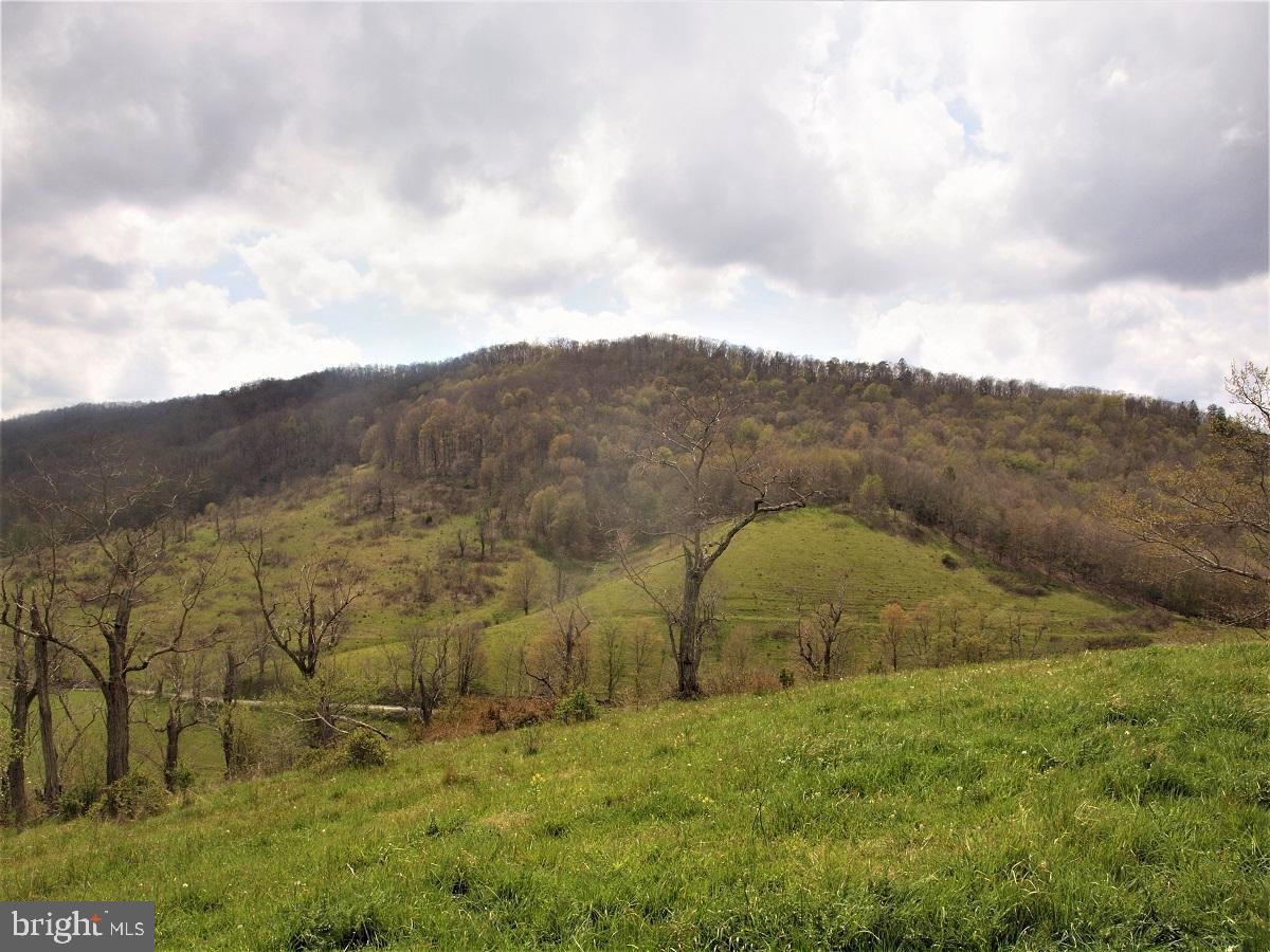 3465 Hardscrabble Road Blue Grass, VA 24413 - Photo 26 of 29