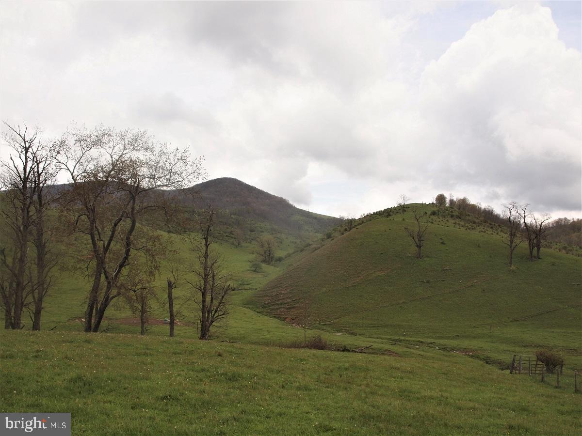 3465 Hardscrabble Road Blue Grass, VA 24413 - Photo 4 of 29