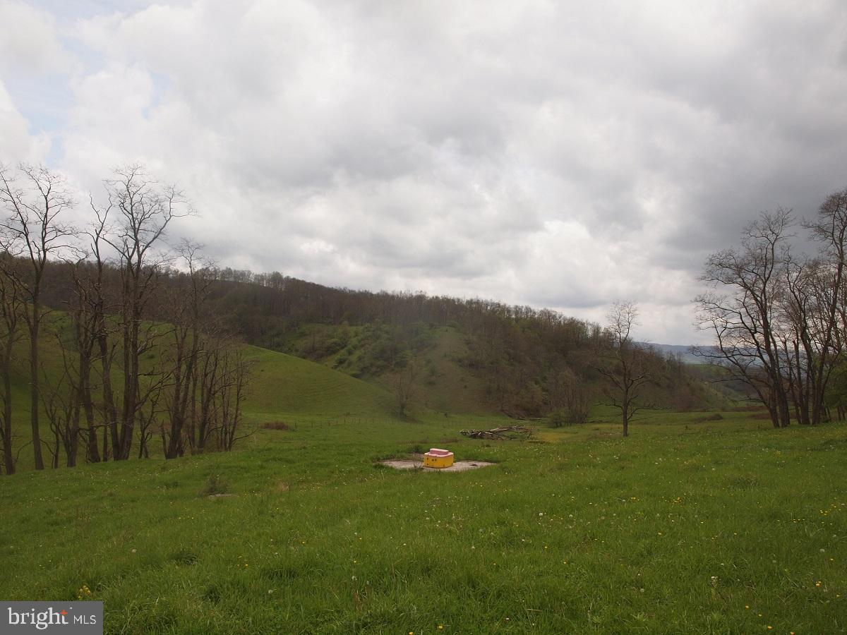 3465 Hardscrabble Road Blue Grass, VA 24413 - Photo 5 of 29