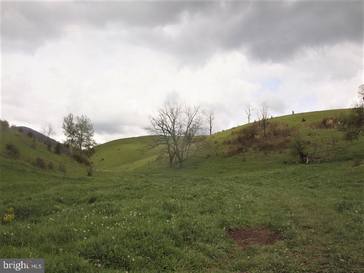 3465 Hardscrabble Road Blue Grass, VA 24413 - Photo 7 of 29