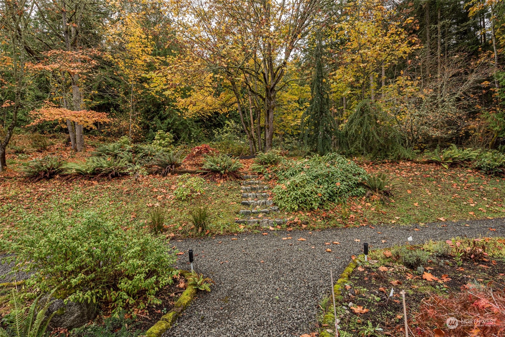 588 Simdars Road Sequim, WA 98382 - Photo 33 of 40 a view of a yard with plants and large trees