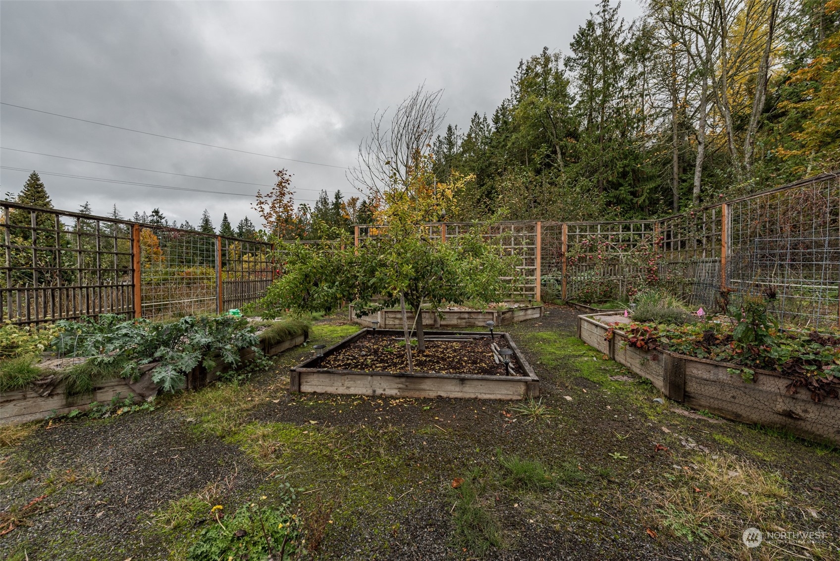 588 Simdars Road Sequim, WA 98382 - Photo 38 of 40 a view of a backyard