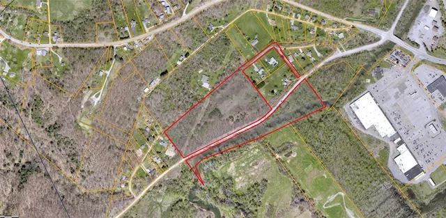 a view of a dry yard