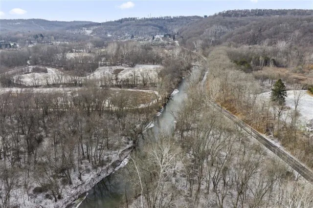 a view of a forest with trees in the background