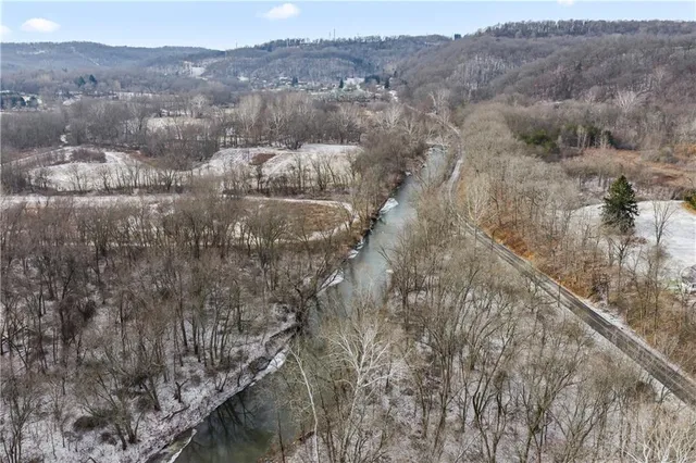 a close up of a tree