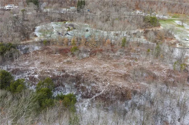 a view of a forest with trees in the background