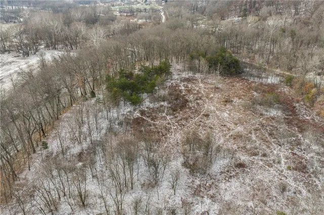 a view of a forest with a house