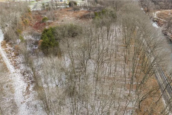 a view of a forest in a forest