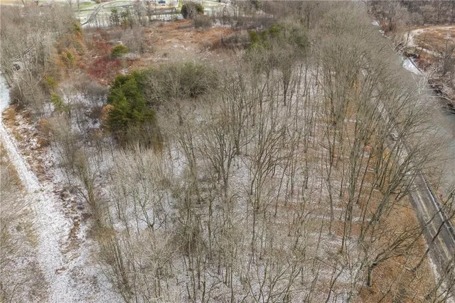 a view of a forest in a forest