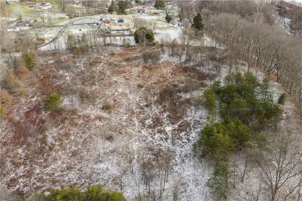 a close up of a plant