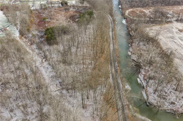 a view of a forest with mountains in the background