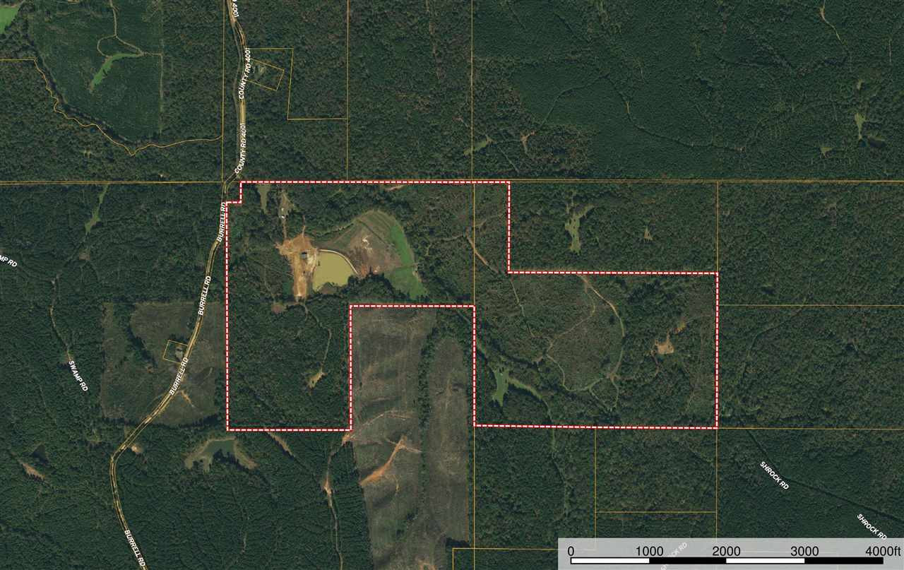 885 Burrell Road Goodman, MS 39079 - Photo 1 of 38 Photo 1