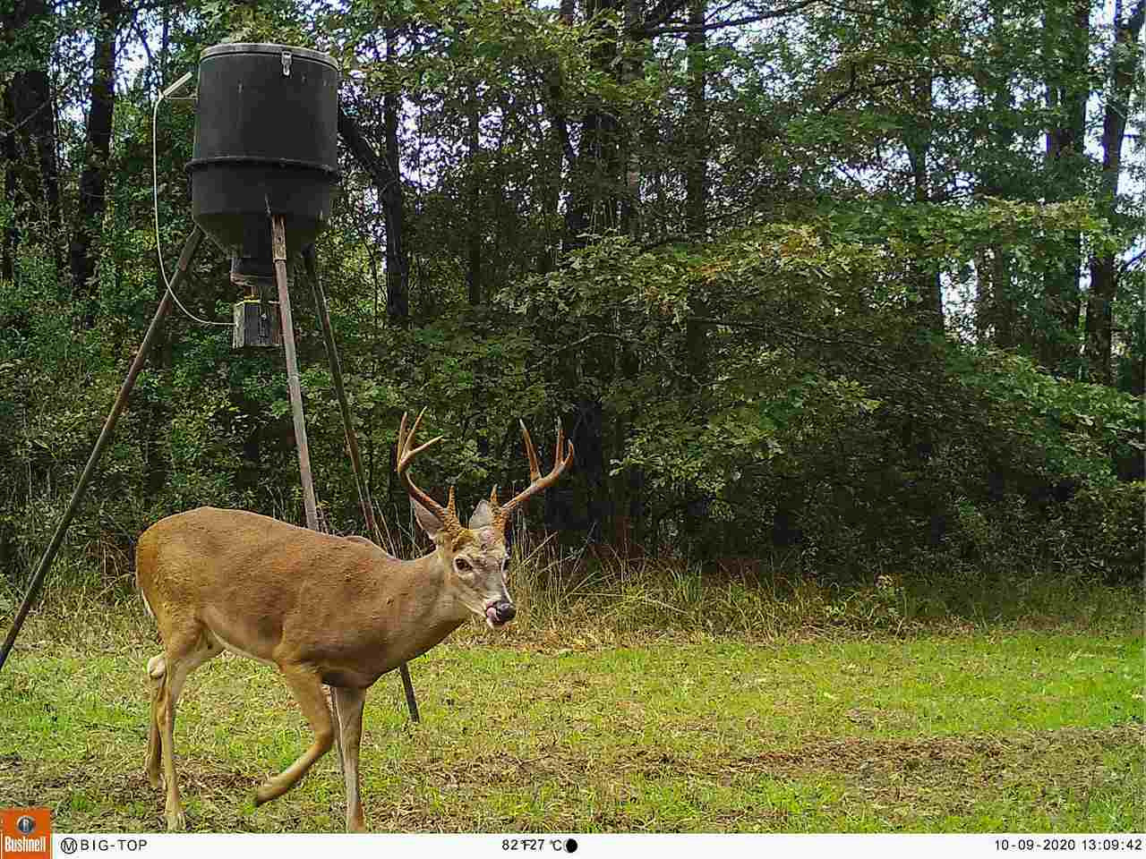 885 Burrell Road Goodman, MS 39079 - Photo 11 of 38 Photo 11