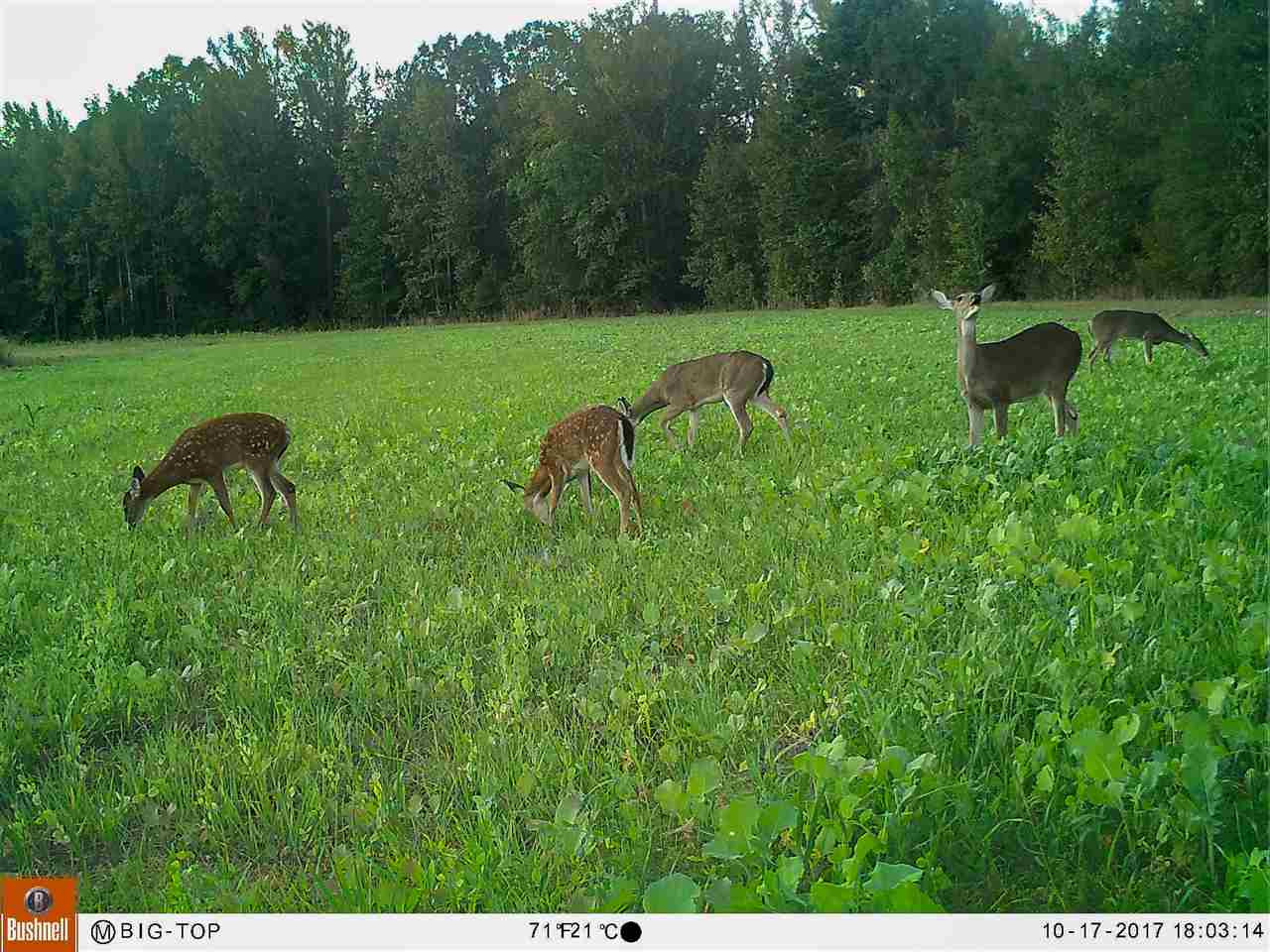 885 Burrell Road Goodman, MS 39079 - Photo 12 of 38 Photo 12