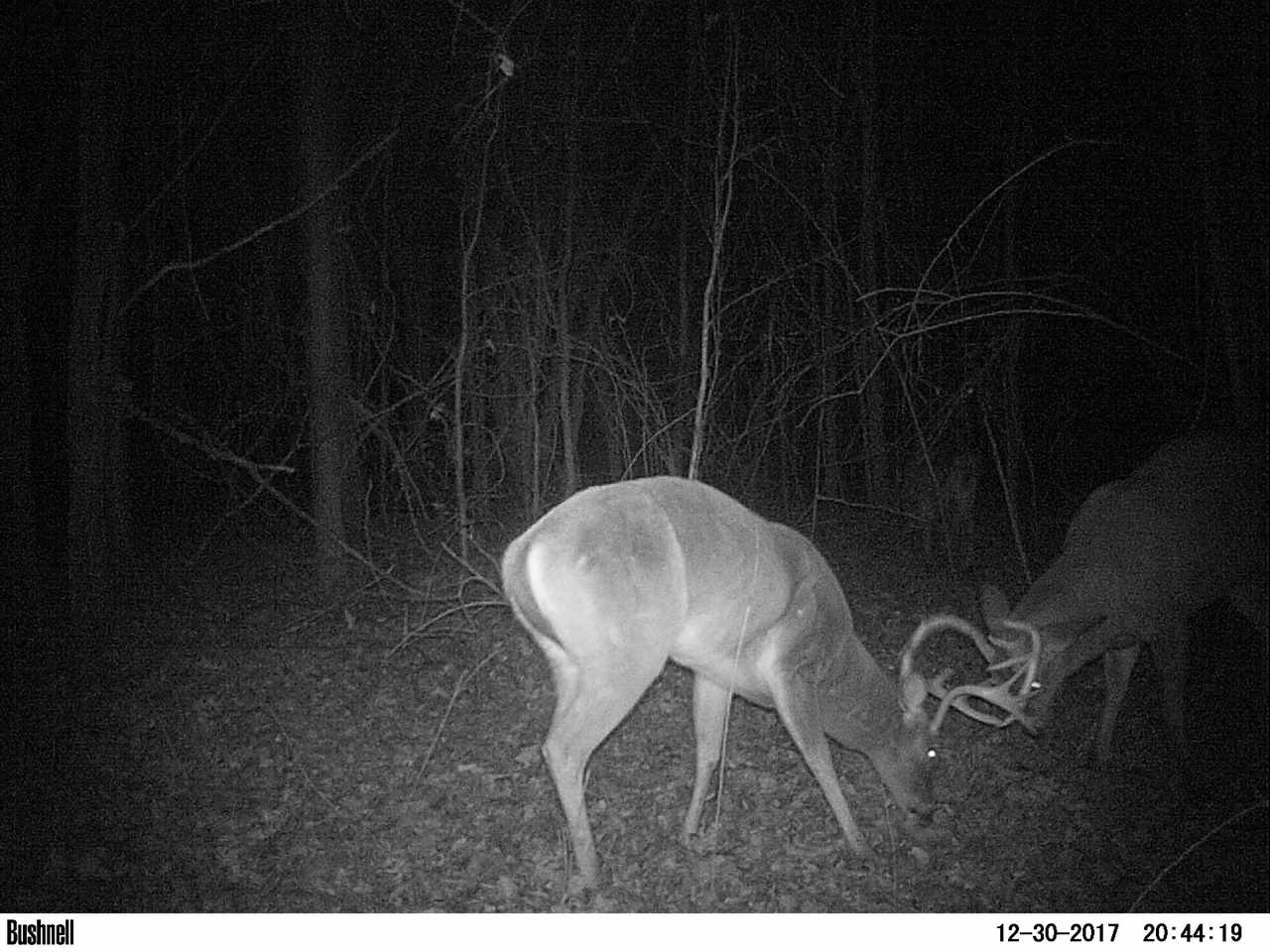 885 Burrell Road Goodman, MS 39079 - Photo 15 of 38 Photo 15