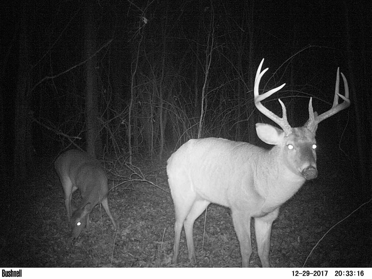 885 Burrell Road Goodman, MS 39079 - Photo 19 of 38 Photo 19